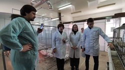 Учёные ставропольского аграрного университета повышают производительность кур